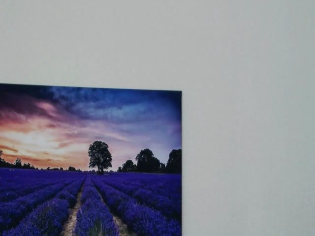 Live sex webcam photo for XXAlanaXX #271933082