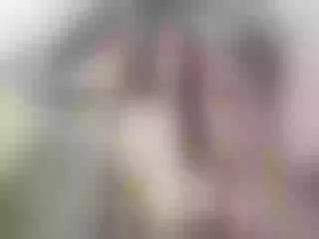 Live sex webcam photo for XXLHugeBoobs #272973250