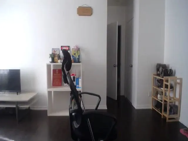 Live sex webcam photo for XoAbbiXo #272205879