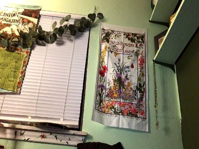 Live sex webcam photo for Xoxolacy #273469045