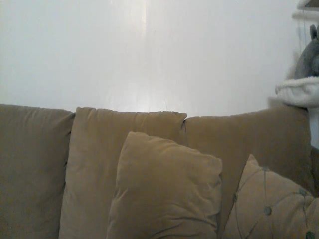 Live sex webcam photo for XxBadBunnyyxX #273278639