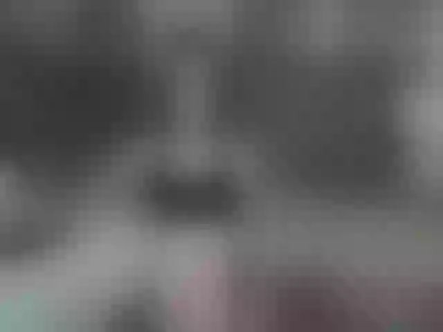 Live sex webcam photo for Yandexss #274087595
