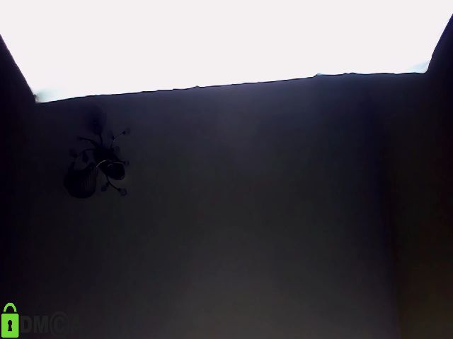 Live sex webcam photo for YellowPear #271832339