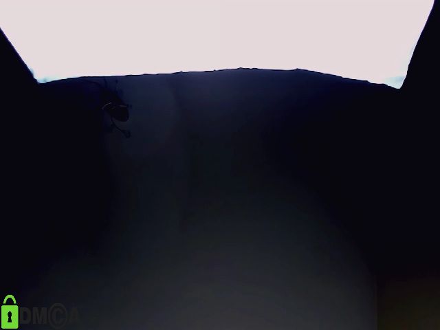 Live sex webcam photo for YellowPear #272059208