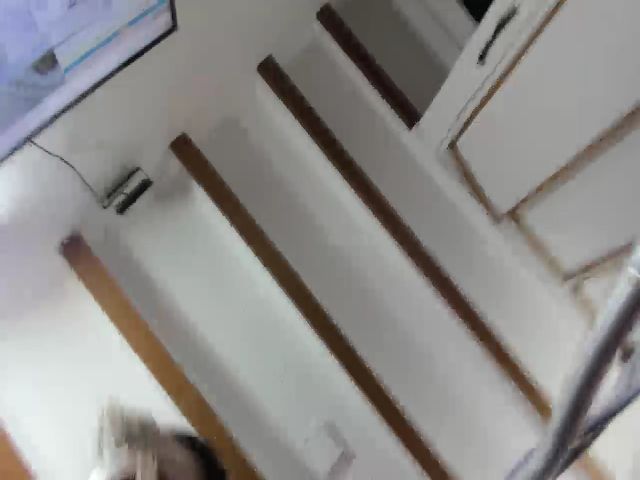 Live sex webcam photo for Yemsu23 #273030150