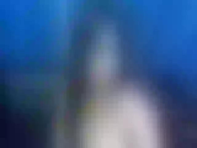 Live sex webcam photo for Yummy_Milf4u #273155201