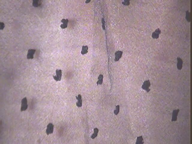 Live sex webcam photo for ZisBack_ #272993701