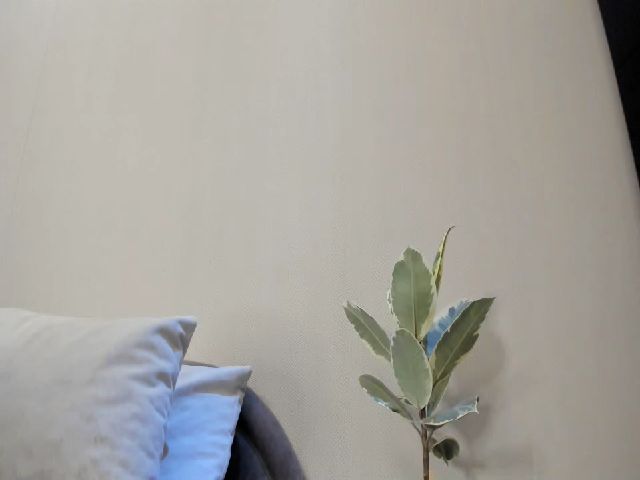 Live sex webcam photo for aAntoninAa #272962938