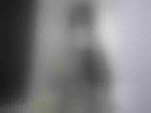 Live sex webcam photo for antonellasea #271822261