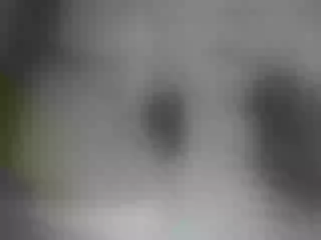 Live sex webcam photo for anytimeshow #273804157