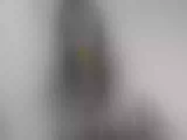 Live sex webcam photo for bridetobe #273365764