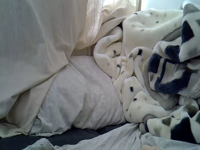 Live sex webcam photo for hayley_london #273966499