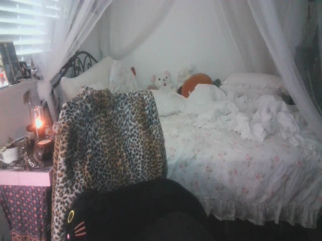 Live sex webcam photo for hazy666 #272626180