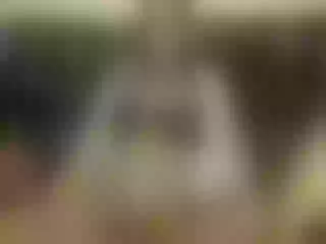 Live sex webcam photo for hotsluttytits #273302556