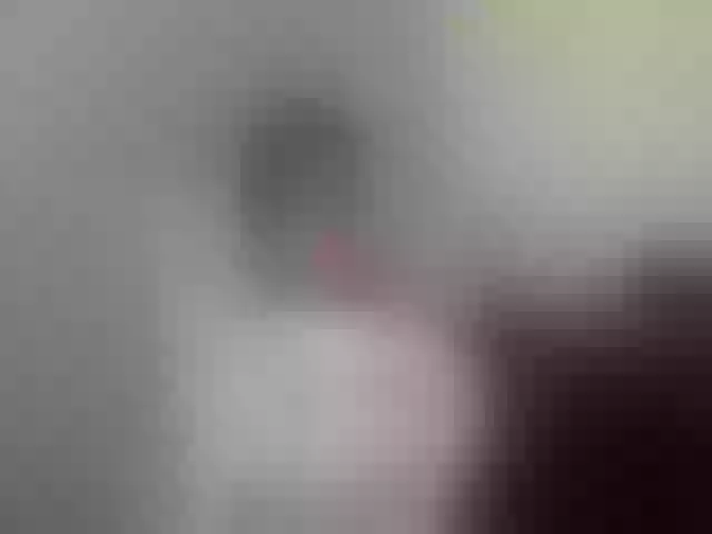 Live sex webcam photo for hotsluttytits #273521685
