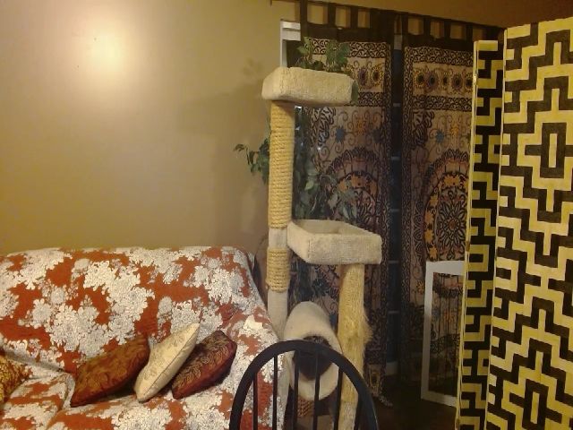 Live sex webcam photo for ireallysquirt #273650301