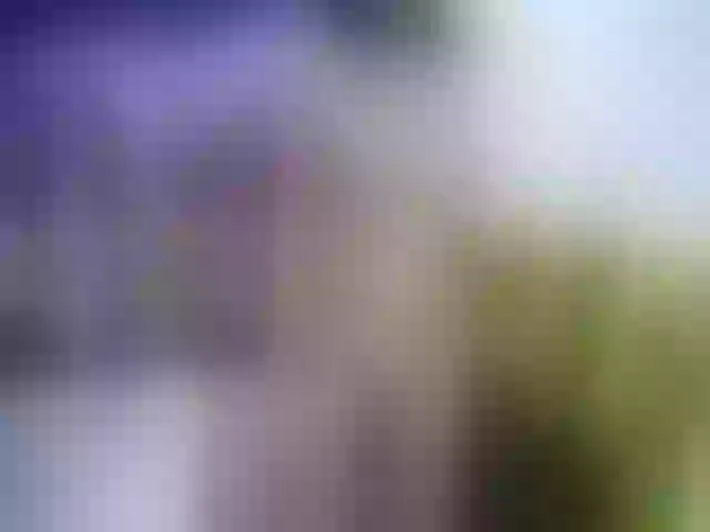 Live sex webcam photo for juwel_moom #272378317
