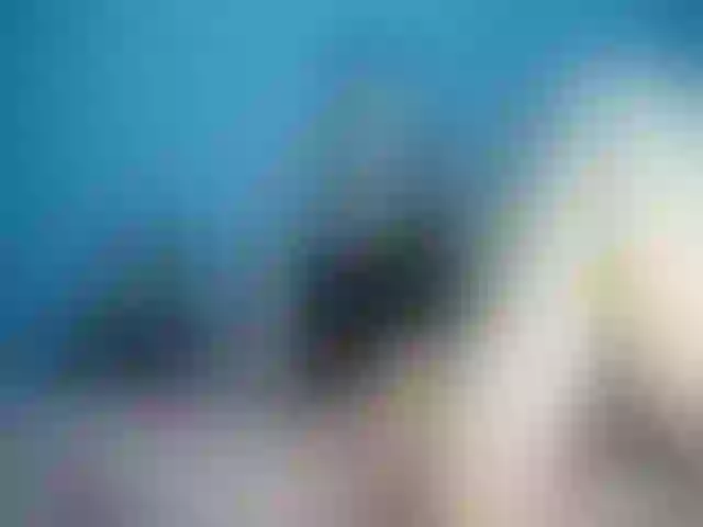 Live sex webcam photo for ladyicebaby #273698605