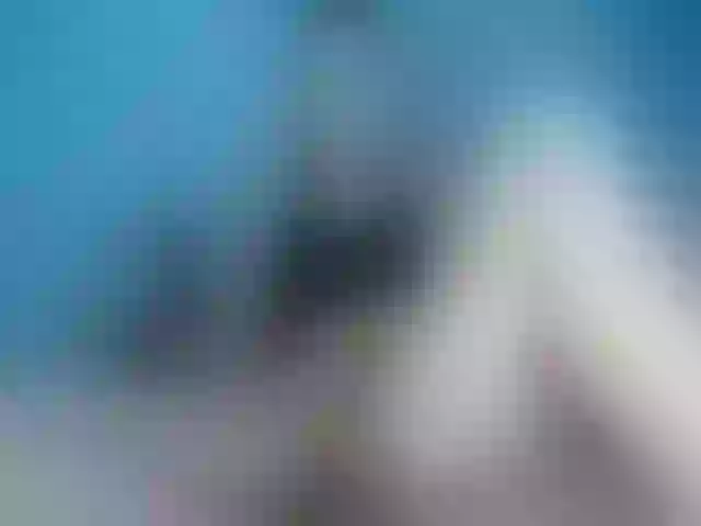 Live sex webcam photo for ladyicebaby #274032901