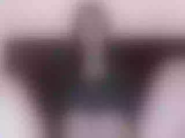 Live sex webcam photo for larakitie #273031851