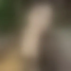 Live sex webcam photo for latinasoftie