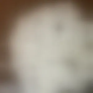Live sex webcam photo for laurensaenz #292624973