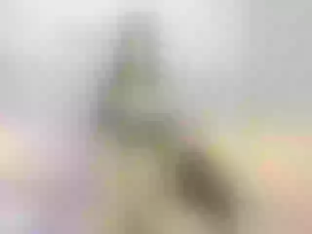 Live sex webcam photo for lizza_robert #272540594