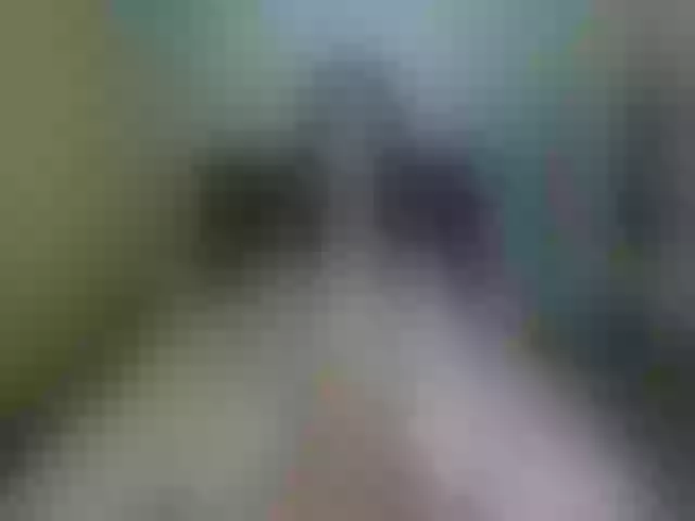 Live sex webcam photo for lolIip0p__ #272972514