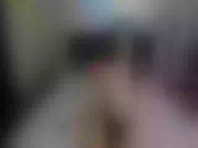 Live sex webcam photo for lolIip0p__ #273078088