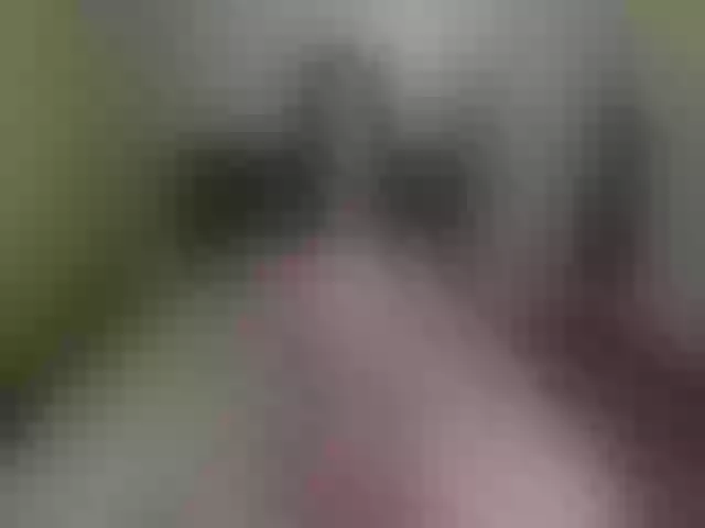 Live sex webcam photo for lolIip0p__ #273109842