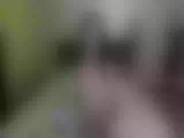 Live sex webcam photo for lolIip0p__ #273110376