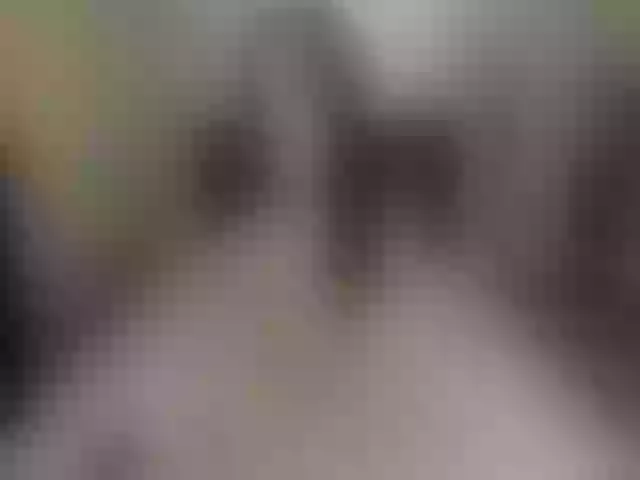Live sex webcam photo for lolIip0p__ #273130988