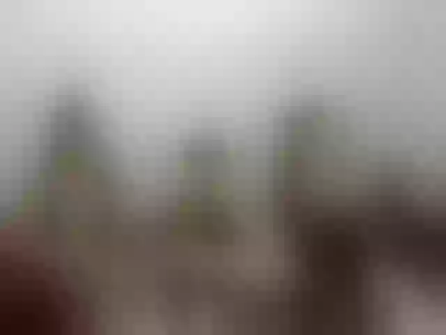 Live sex webcam photo for luisa_weet #271832916