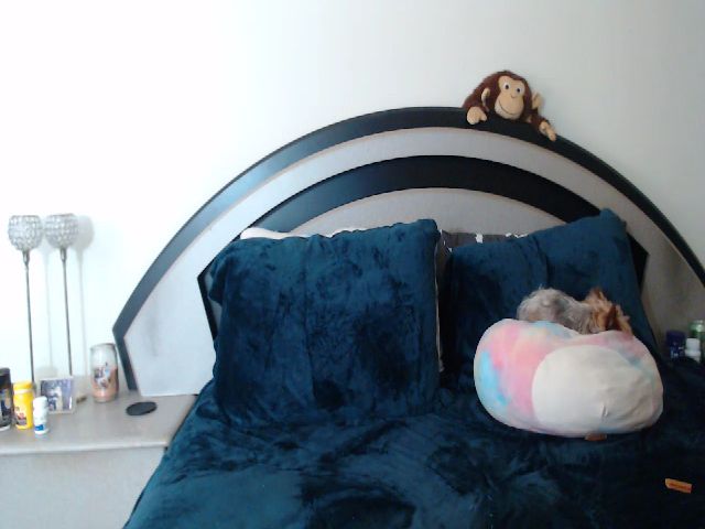 Live sex webcam photo for lyllla #271937358