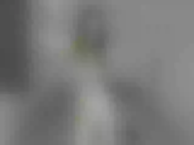 Live sex webcam photo for melaniewithu #272244671