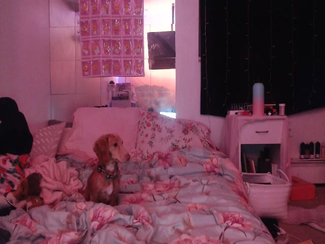 Live sex webcam photo for paloma_grey #273031845