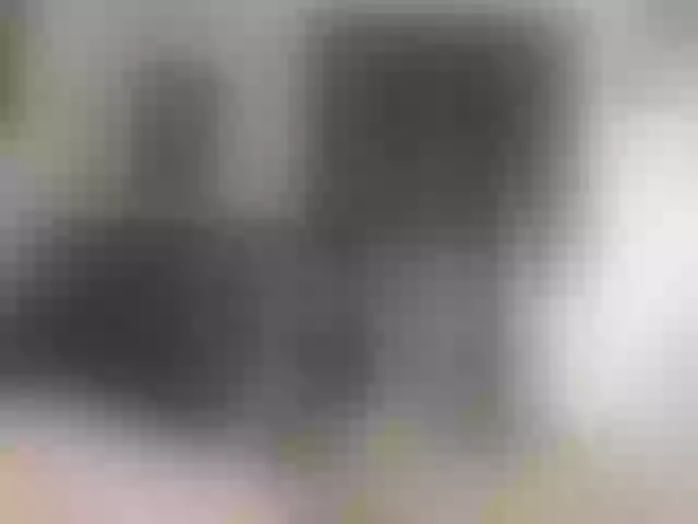 Live sex webcam photo for pantydriver69 #272857602
