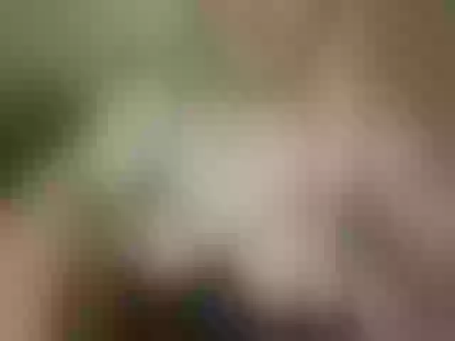 Live sex webcam photo for poppipaige #274421843