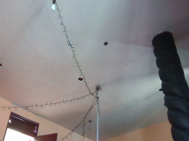 Live sex webcam photo for sailor_ruby7 #272504321