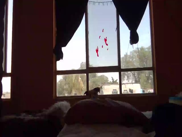 Live sex webcam photo for sailor_ruby7 #272983227