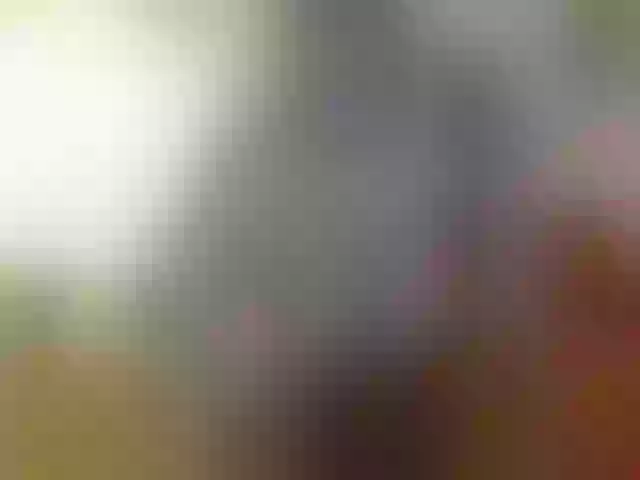 Live sex webcam photo for sofiamentti #272261874