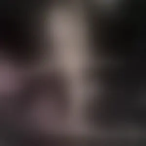 Live sex webcam photo for xoxoitsparis #293781347