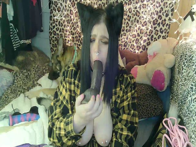 Live sex webcam photo for xxKittens #272557780