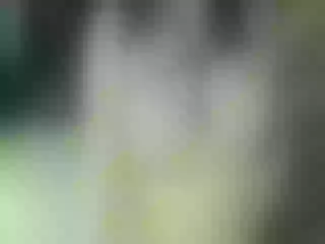 Live sex webcam photo for xxKittens #272822814