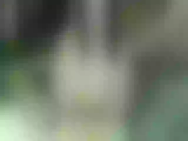 Live sex webcam photo for xxKittens #272825043