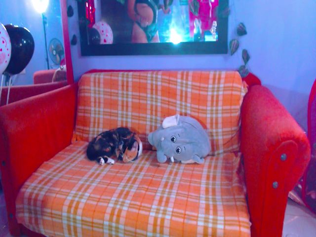 Live sex webcam photo for yo_soy_vanee #272472504