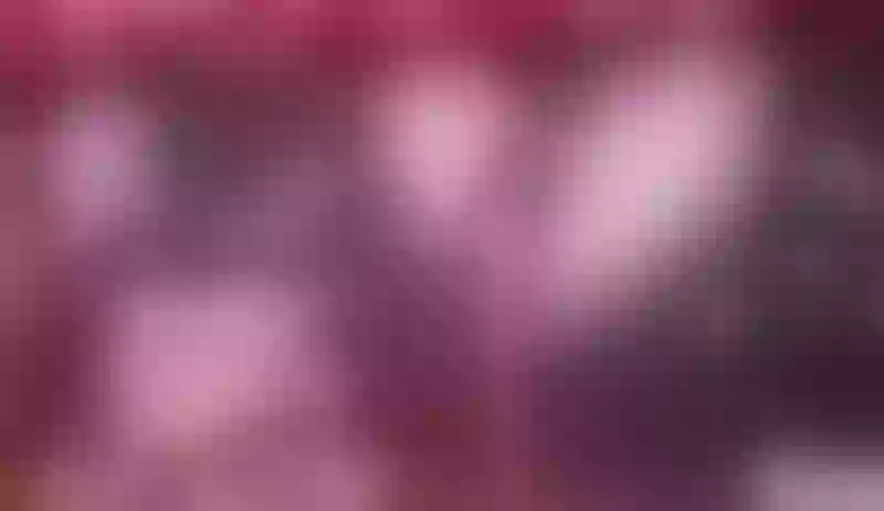 Live sex webcam photo for SandyBenson #5580620