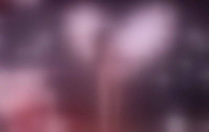 Live sex webcam photo for SandyBenson #5580621
