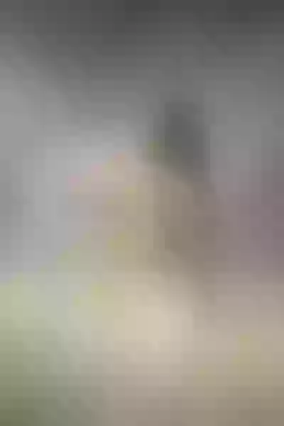 Live sex webcam photo for DaraBeckett #4081119