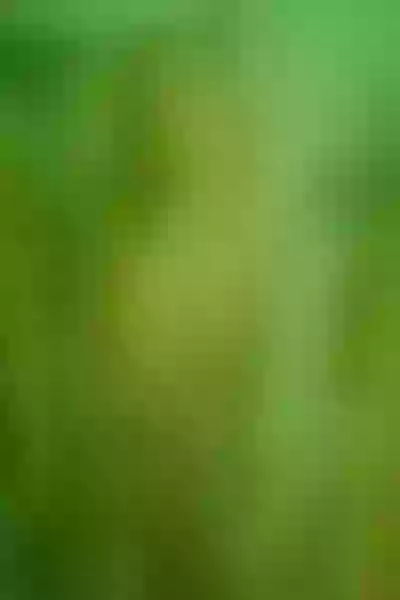 Live sex webcam photo for DaraBeckett #4238790